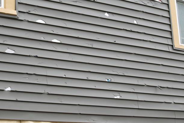 Affordable Siding Repair and Maintenance Services in Caldwell, ID